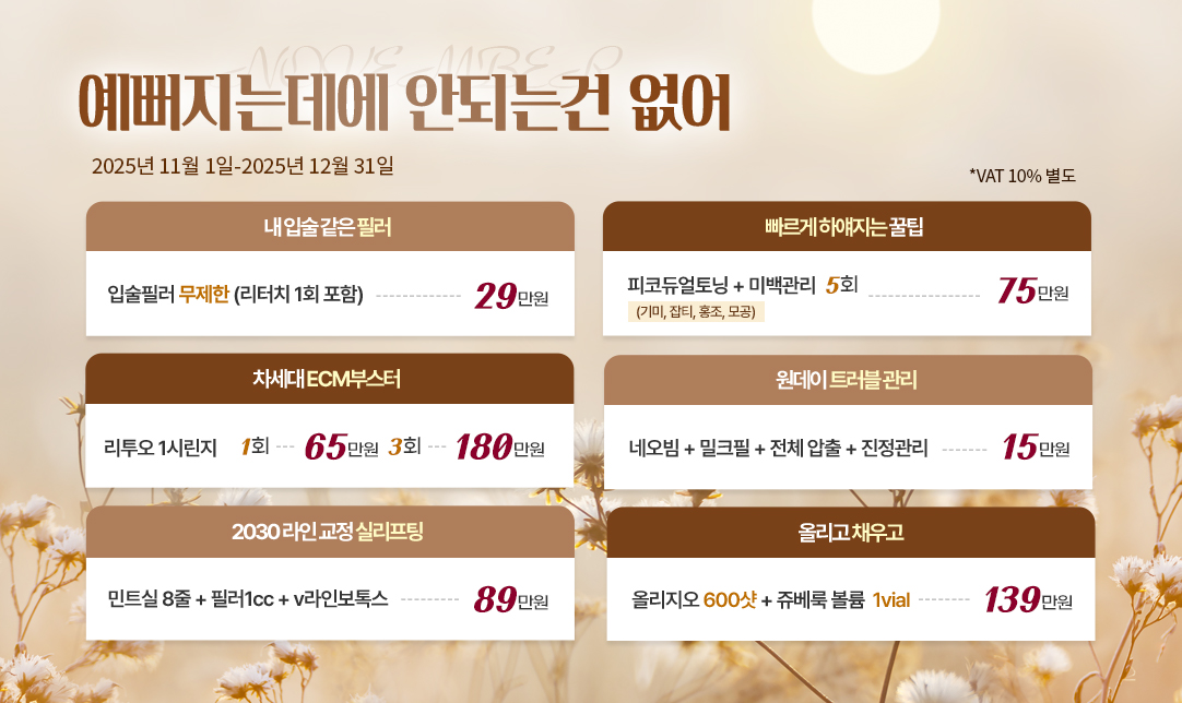 11-12월 프로모션 썸네일